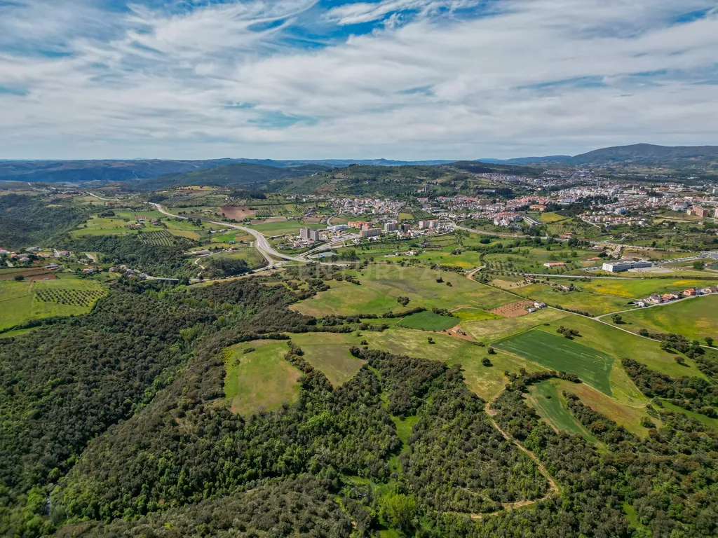 Quinta Nova - Solo industrial e agrícola a 5m do aeródromo - Image 7