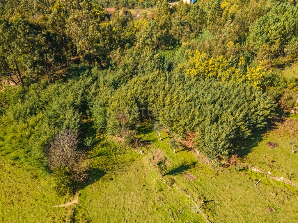 Moradia para Reconstrução com Terreno - Image 28