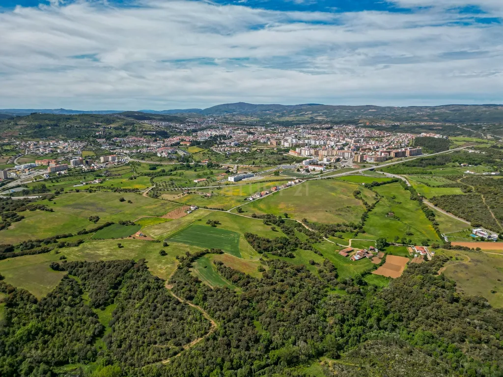 Quinta Nova - Solo industrial e agrícola a 5m do aeródromo - Image 8