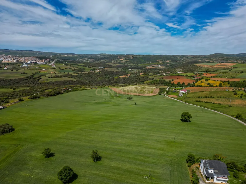 Quinta Nova - Solo industrial e agrícola a 5m do aeródromo - Image 10
