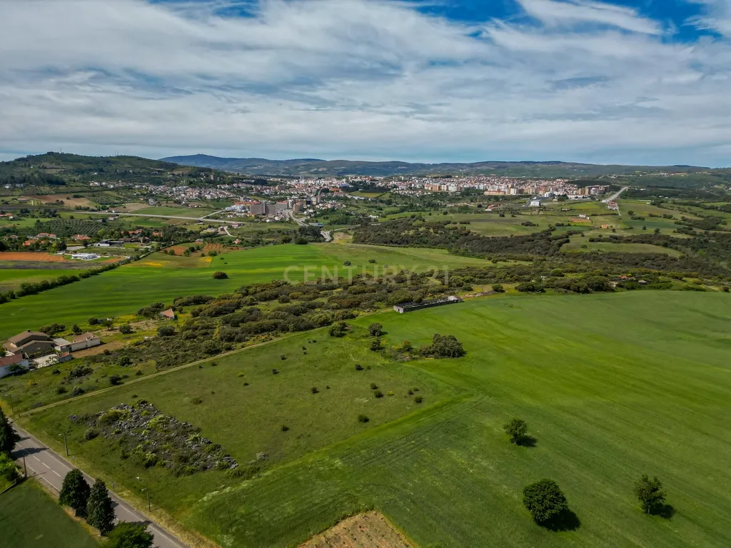 Quinta Nova - Solo industrial e agrícola a 5m do aeródromo - Image 12