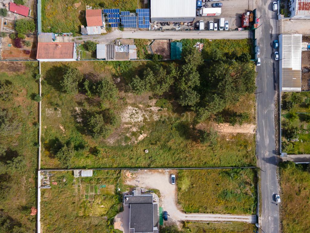 Lote de Terreno Urbanizável com 5.050m2 | Laranjeiras | Fernão Ferro - Image 5