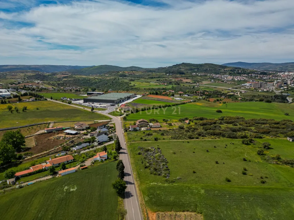 Quinta Nova - Solo industrial e agrícola a 5m do aeródromo - Image 15