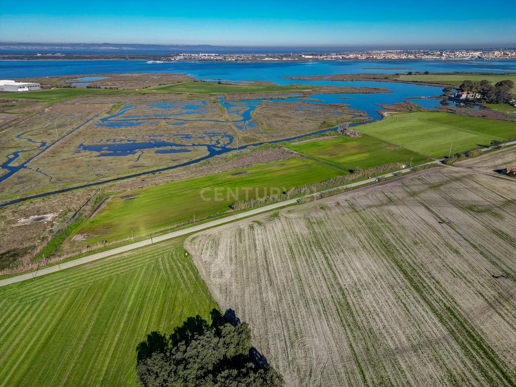 Propriedade na margem sul do Tejo, com 65ha e 796m2 dependências agrícolas - Image 16