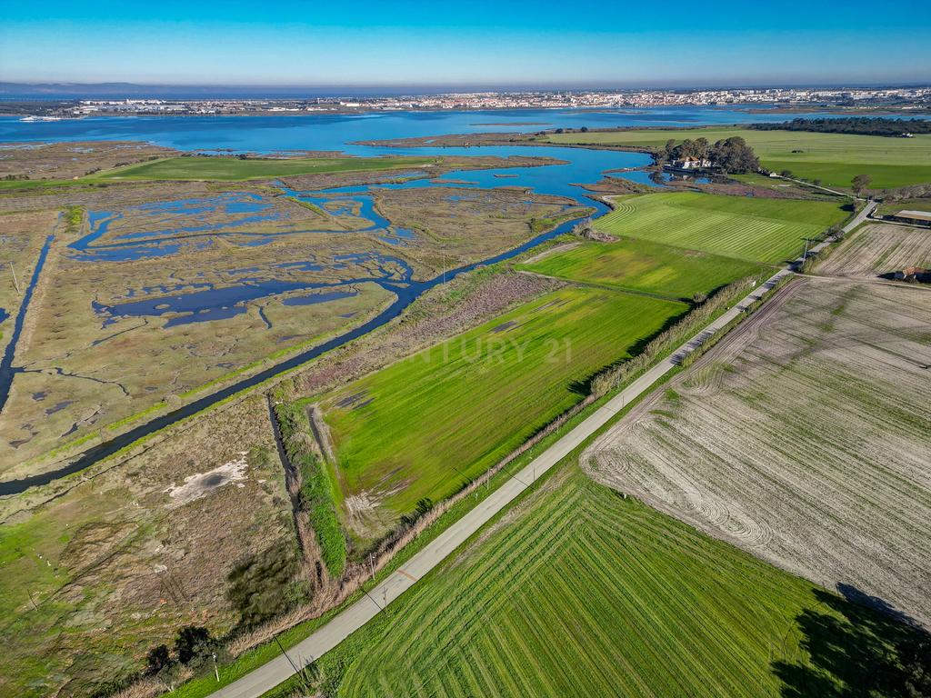 Propriedade na margem sul do Tejo, com 65ha e 796m2 dependências agrícolas - Image 5
