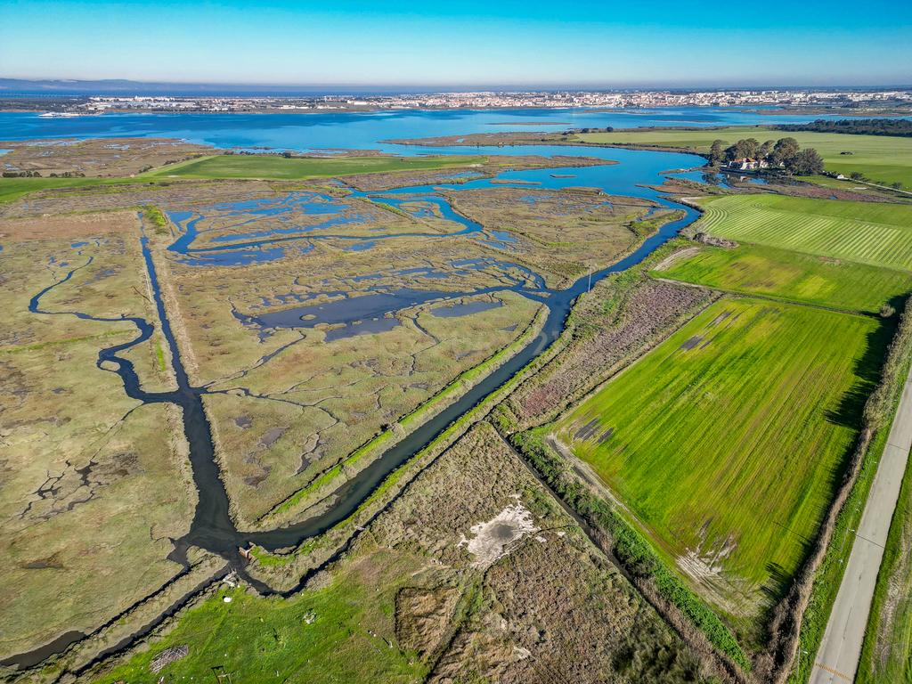 Propriedade na margem sul do Tejo, com 65ha e 796m2 dependências agrícolas - Image 34