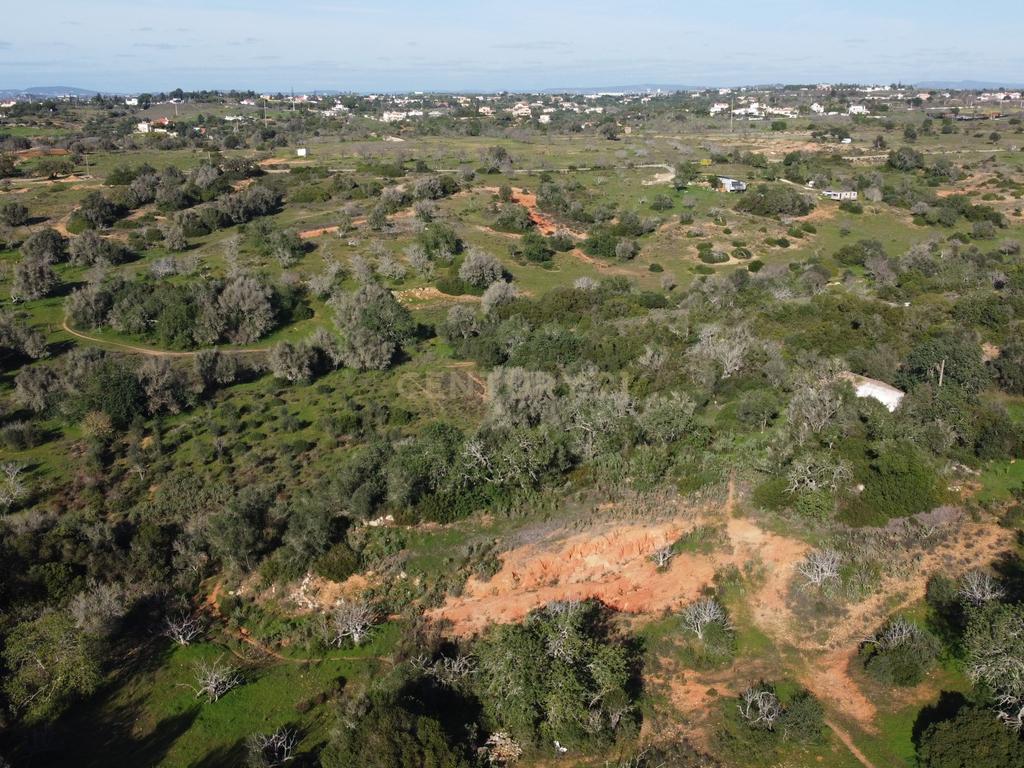Quinta do Evaristo - Amendoal, Albufeira - Uma oportunidade única em Vale da Ursa - Image 4