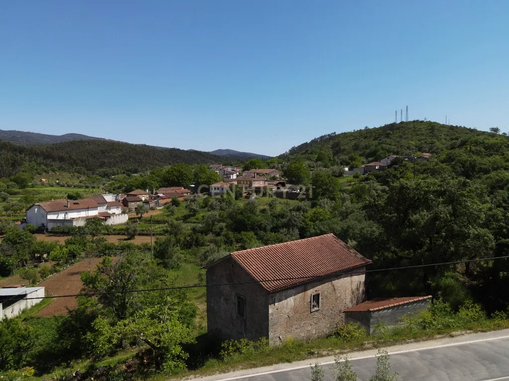 Casa de pedra com terreno junto de riacho - Penela - Image 12