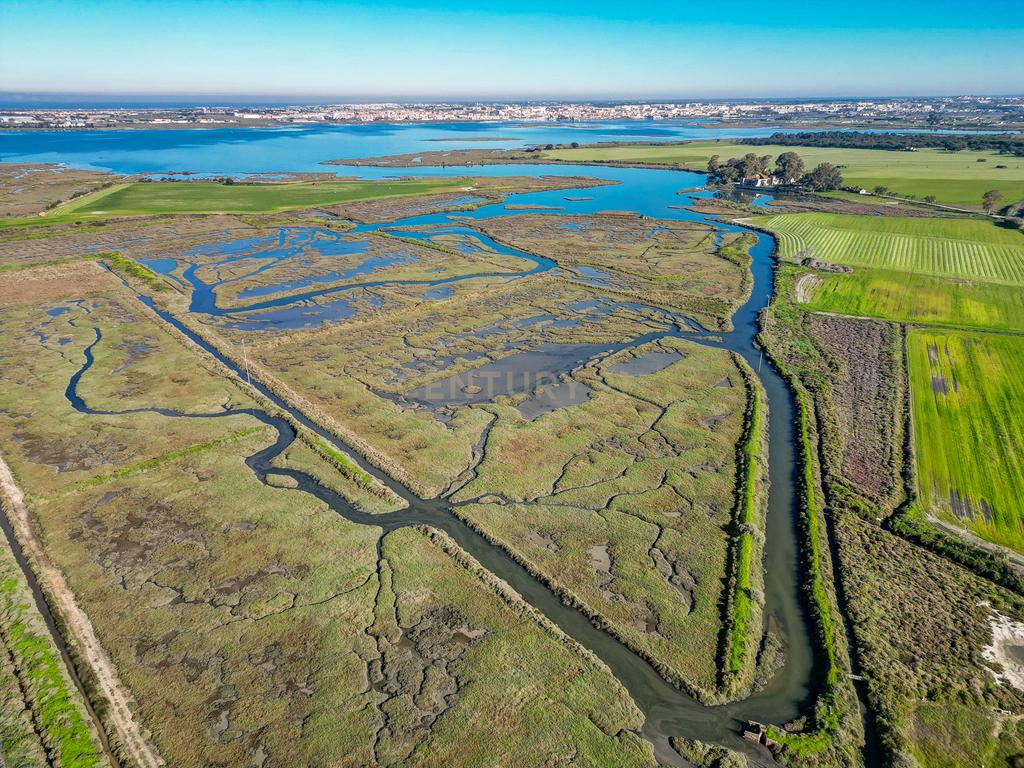 Propriedade na margem sul do Tejo, com 65ha e 796m2 dependências agrícolas - Image 33