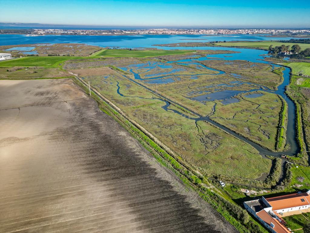 Propriedade na margem sul do Tejo, com 65ha e 796m2 dependências agrícolas - Image 11