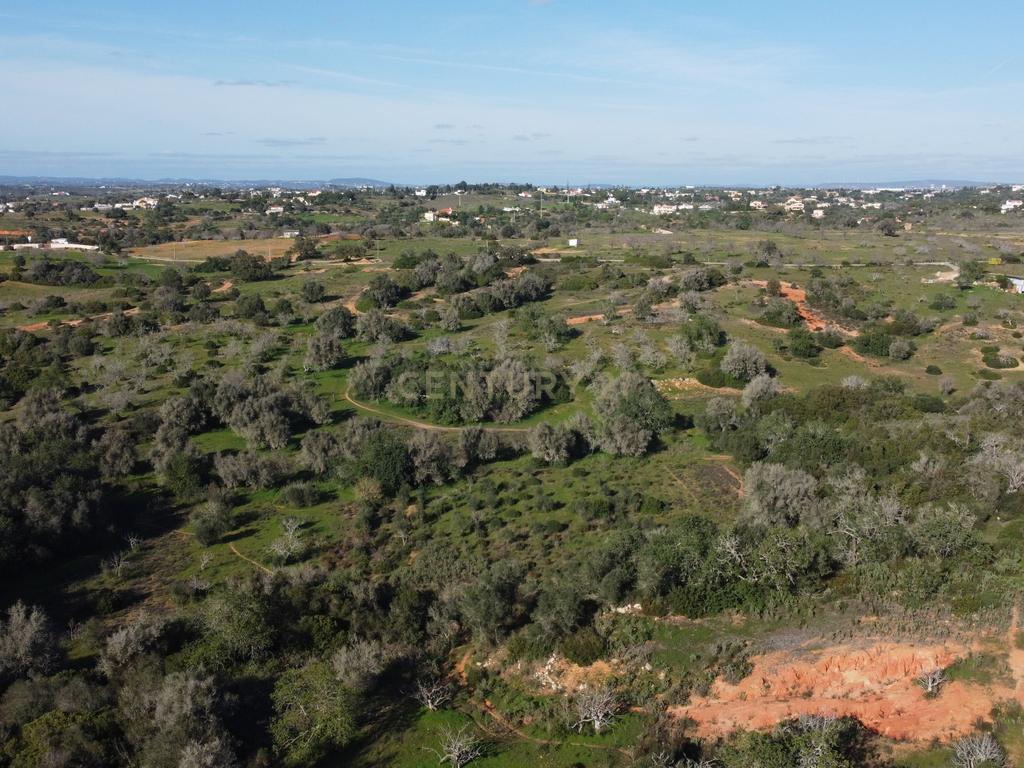 Quinta do Evaristo - Amendoal, Albufeira - Uma oportunidade única em Vale da Ursa - Image 7