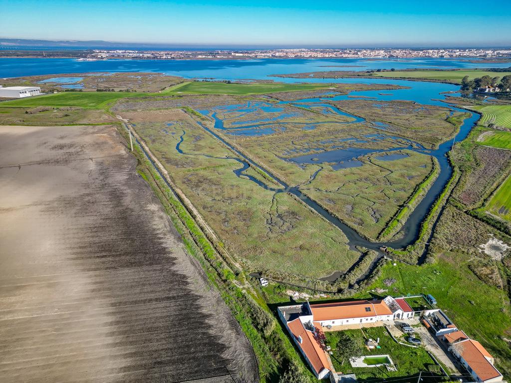 Propriedade na margem sul do Tejo, com 65ha e 796m2 dependências agrícolas - Image 6