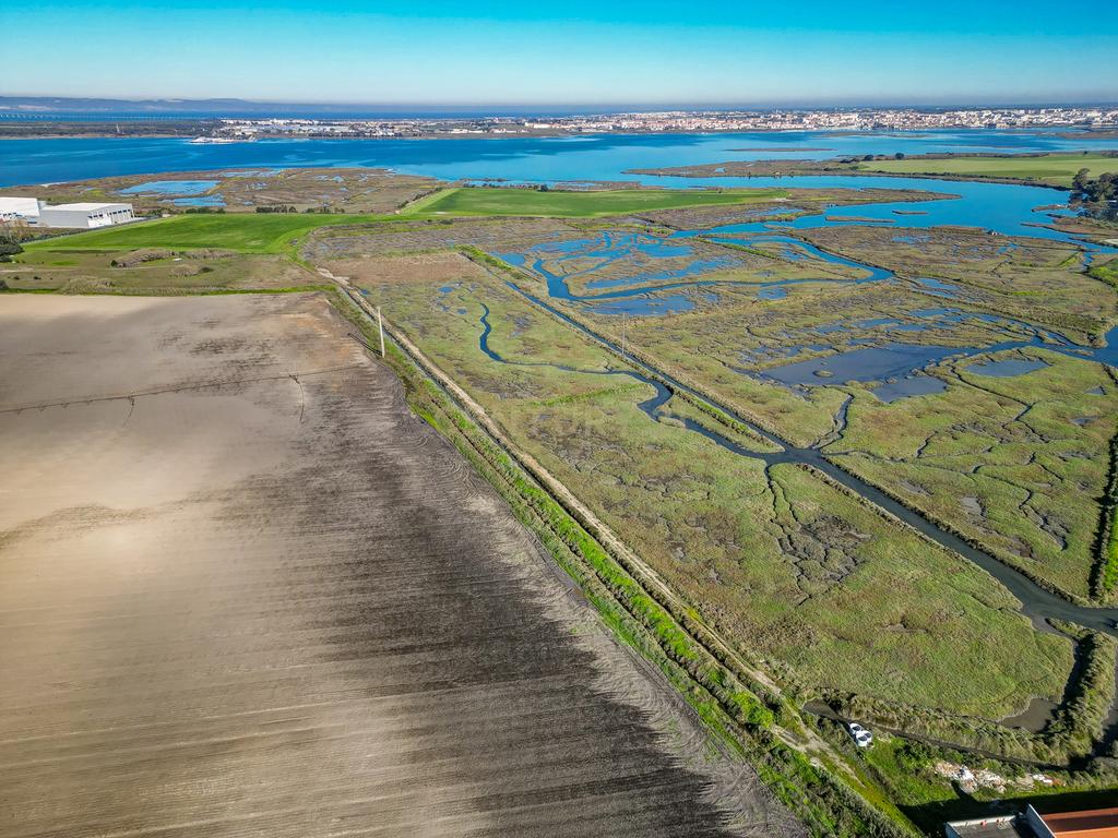 Propriedade na margem sul do Tejo, com 65ha e 796m2 dependências agrícolas - Image 9