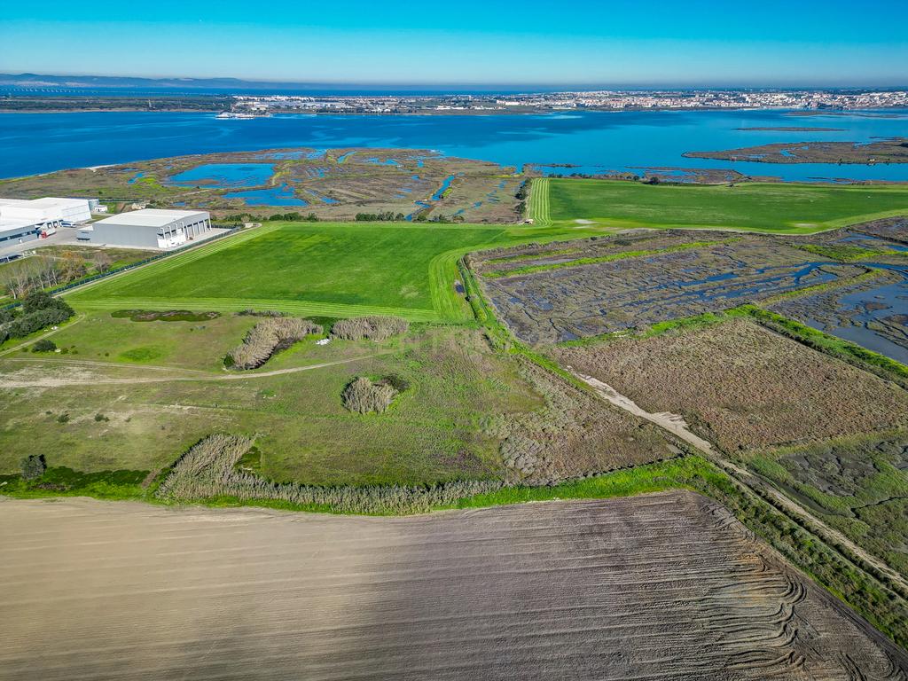 Propriedade na margem sul do Tejo, com 65ha e 796m2 dependências agrícolas - Image 7