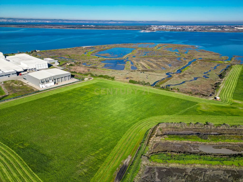 Propriedade na margem sul do Tejo, com 65ha e 796m2 dependências agrícolas - Image 3