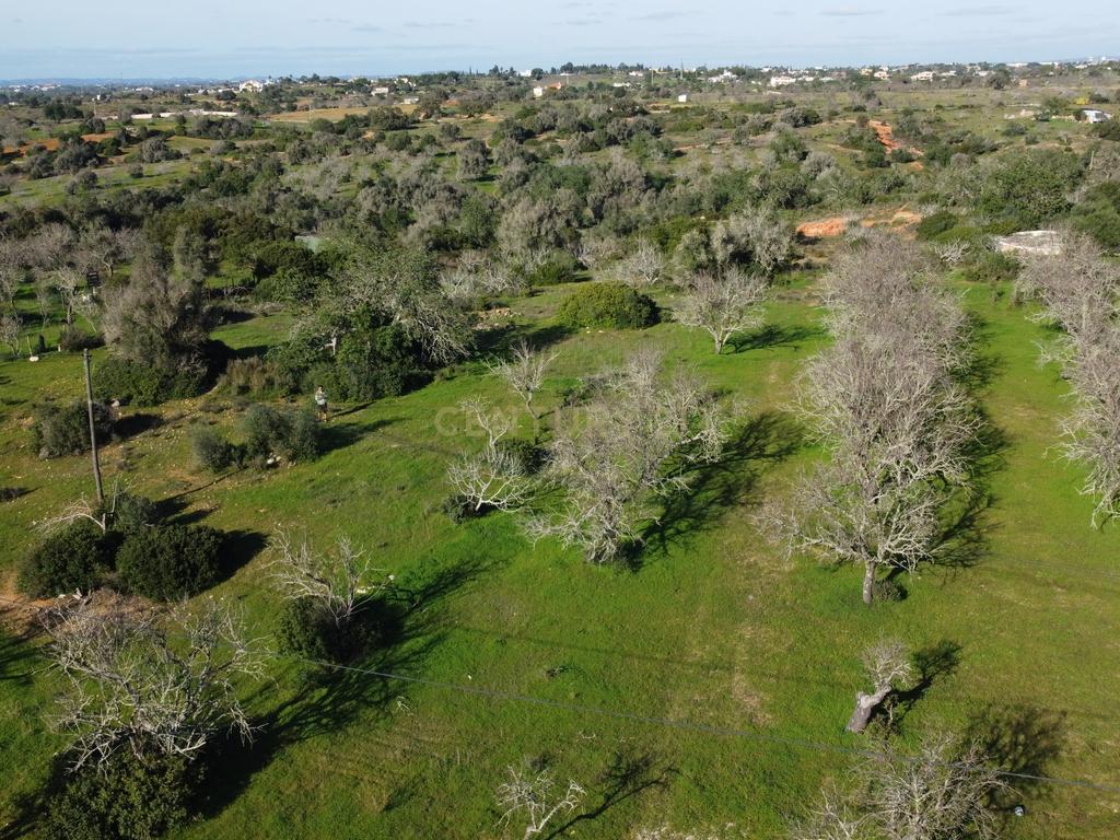 Quinta do Evaristo - Amendoal, Albufeira - Uma oportunidade única em Vale da Ursa - Image 11