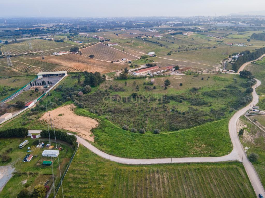 Terreno Rustico em Palmela 14250m2, com viabilidade de construção.400m2 - Image 6