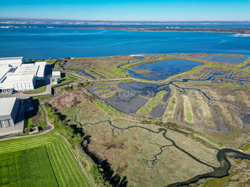 Propriedade na margem sul do Tejo, com 65ha e 796m2 dependências agrícolas - Image 8