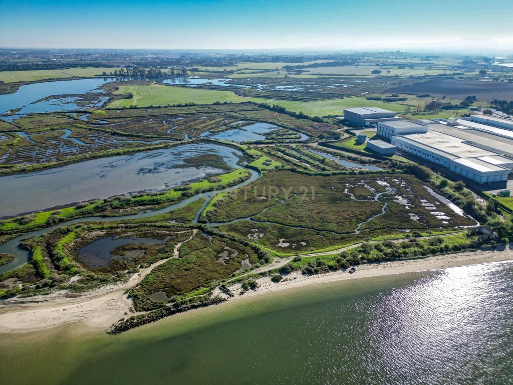 Propriedade na margem sul do Tejo, com 65ha e 796m2 dependências agrícolas - Image 10