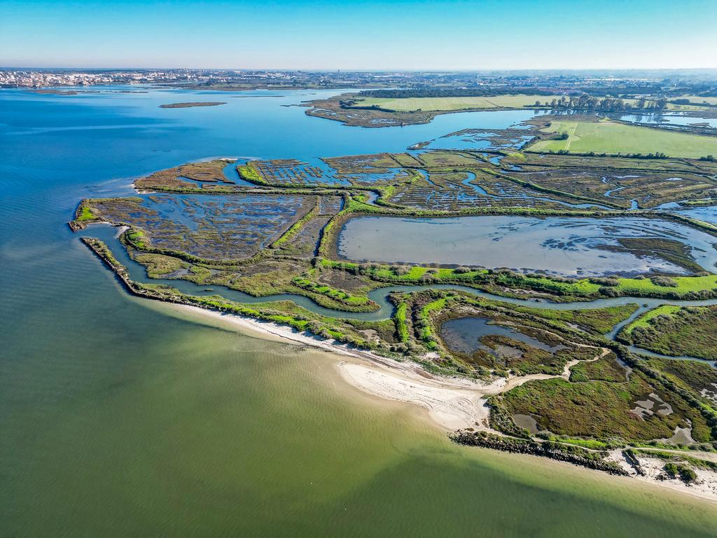 Propriedade na margem sul do Tejo, com 65ha e 796m2 dependências agrícolas - Image 12