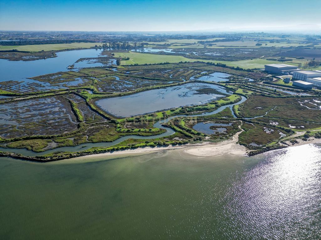 Propriedade na margem sul do Tejo, com 65ha e 796m2 dependências agrícolas - Image 21