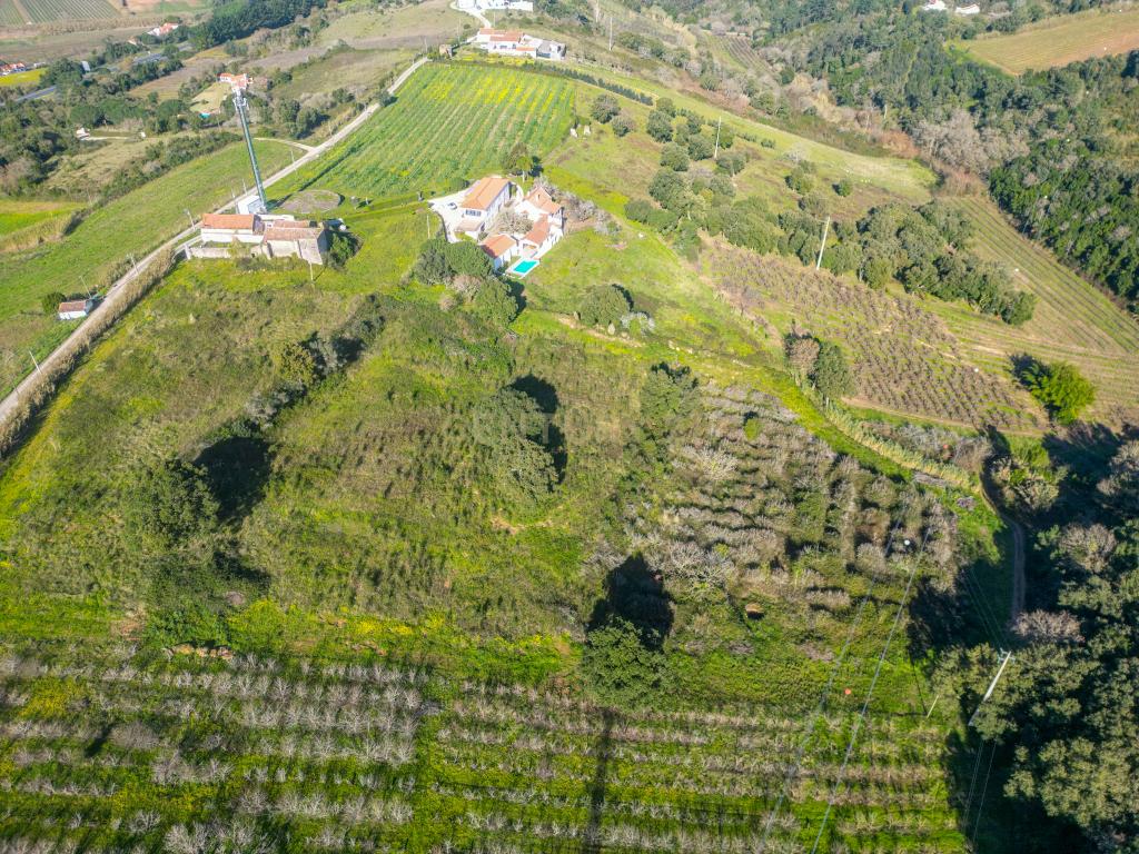 Quinta do Oratorio, Obidos - Image 14