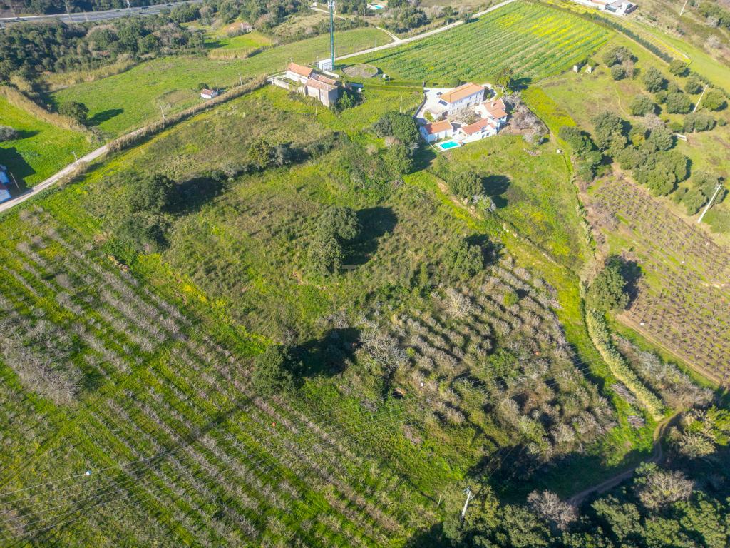 Quinta do Oratorio, Obidos - Image 20