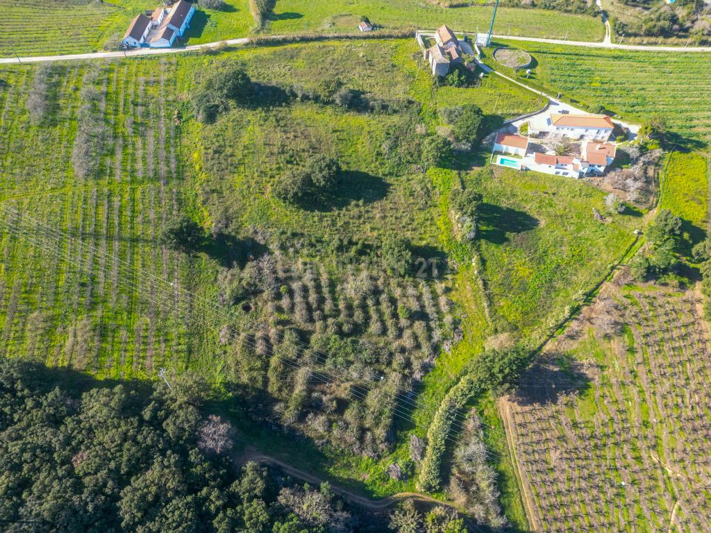 Quinta do Oratorio, Obidos - Image 11