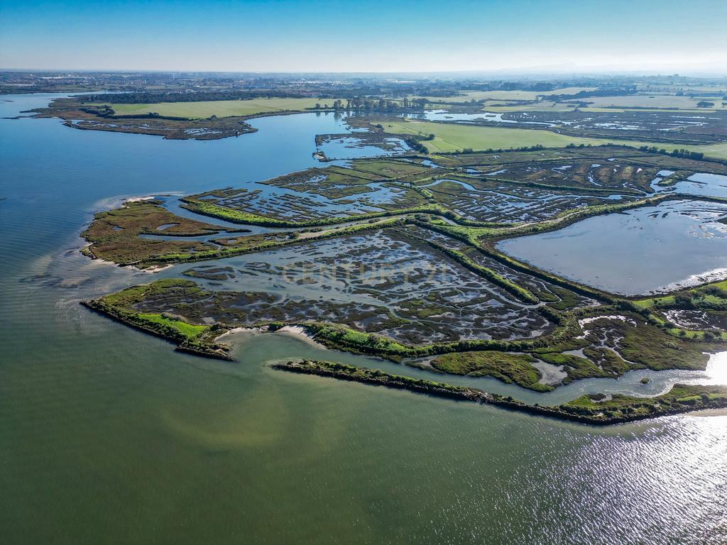 Propriedade na margem sul do Tejo, com 65ha e 796m2 dependências agrícolas - Image 30
