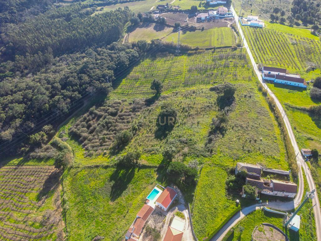 Quinta do Oratorio, Obidos - Image 12