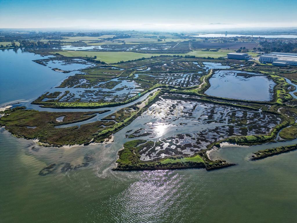 Propriedade na margem sul do Tejo, com 65ha e 796m2 dependências agrícolas - Image 13