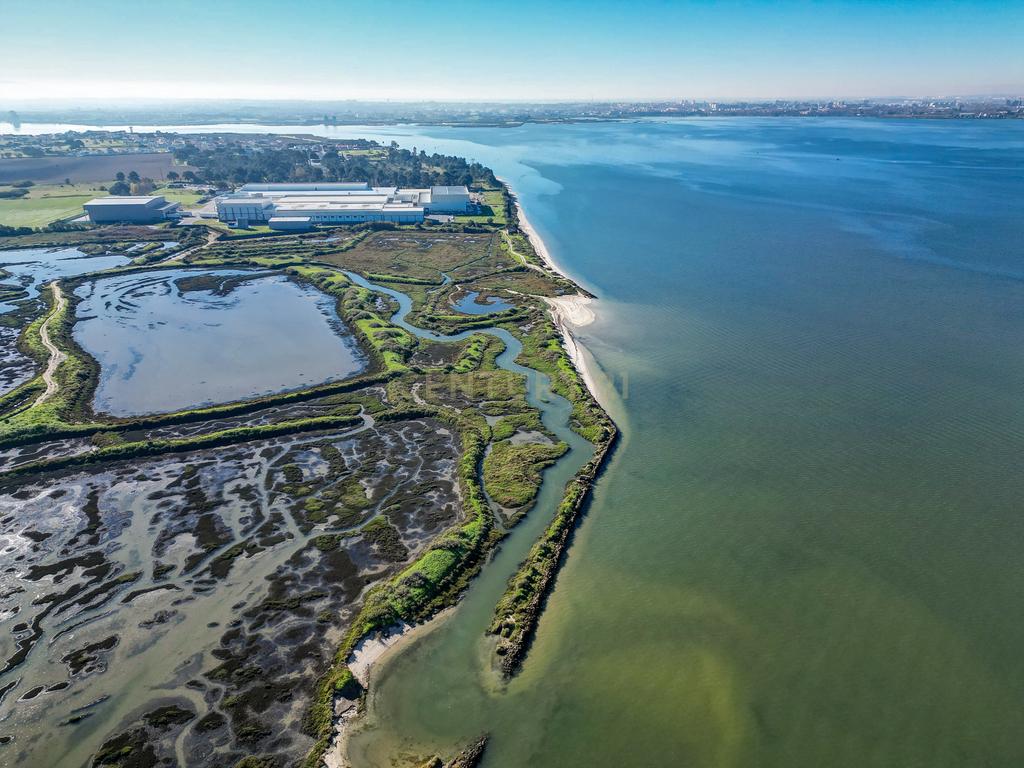 Propriedade na margem sul do Tejo, com 65ha e 796m2 dependências agrícolas - Image 29