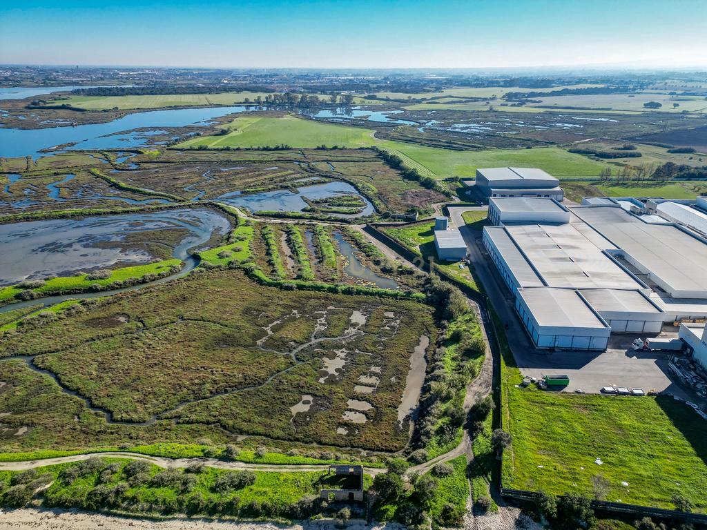 Propriedade na margem sul do Tejo, com 65ha e 796m2 dependências agrícolas - Image 14
