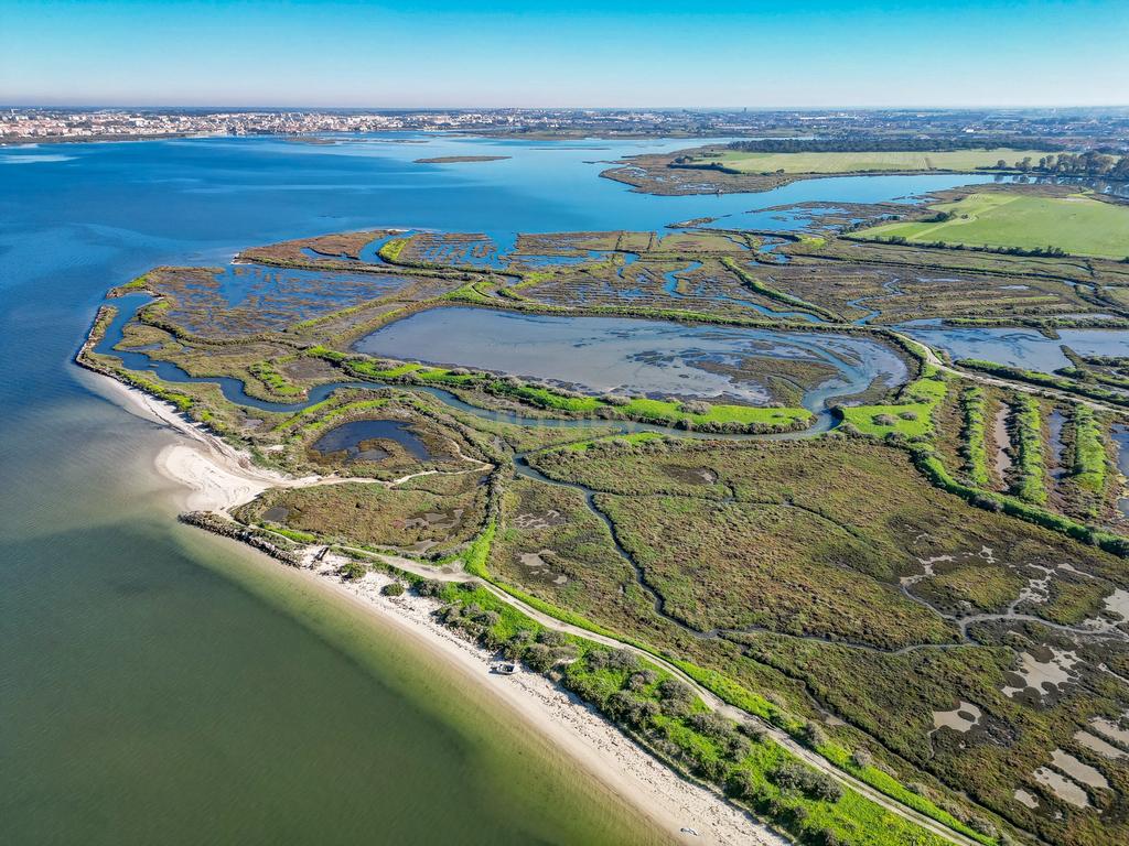 Propriedade na margem sul do Tejo, com 65ha e 796m2 dependências agrícolas - Image 19