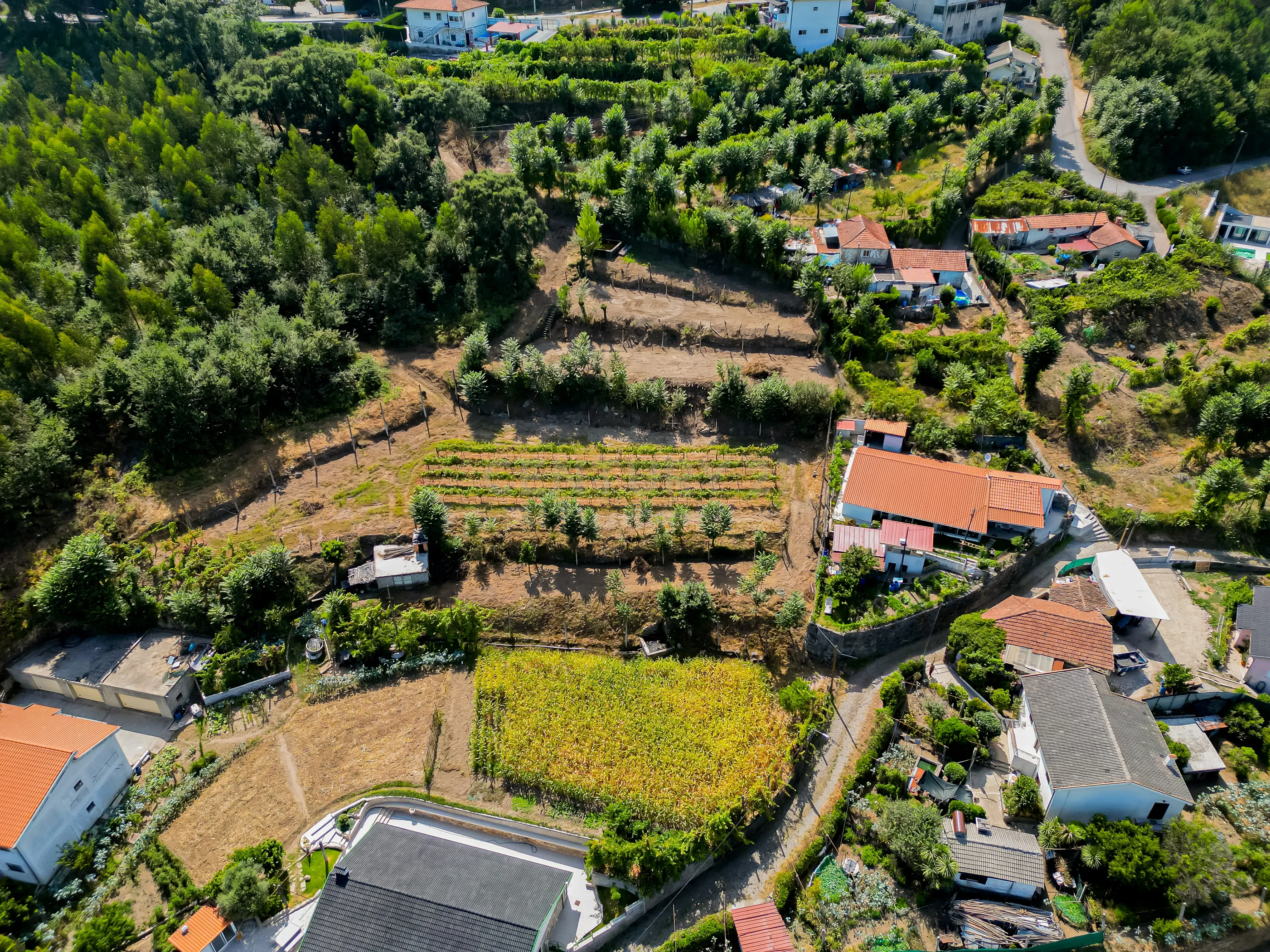 Terreno para construção em Sande São Lourenço - Image 1