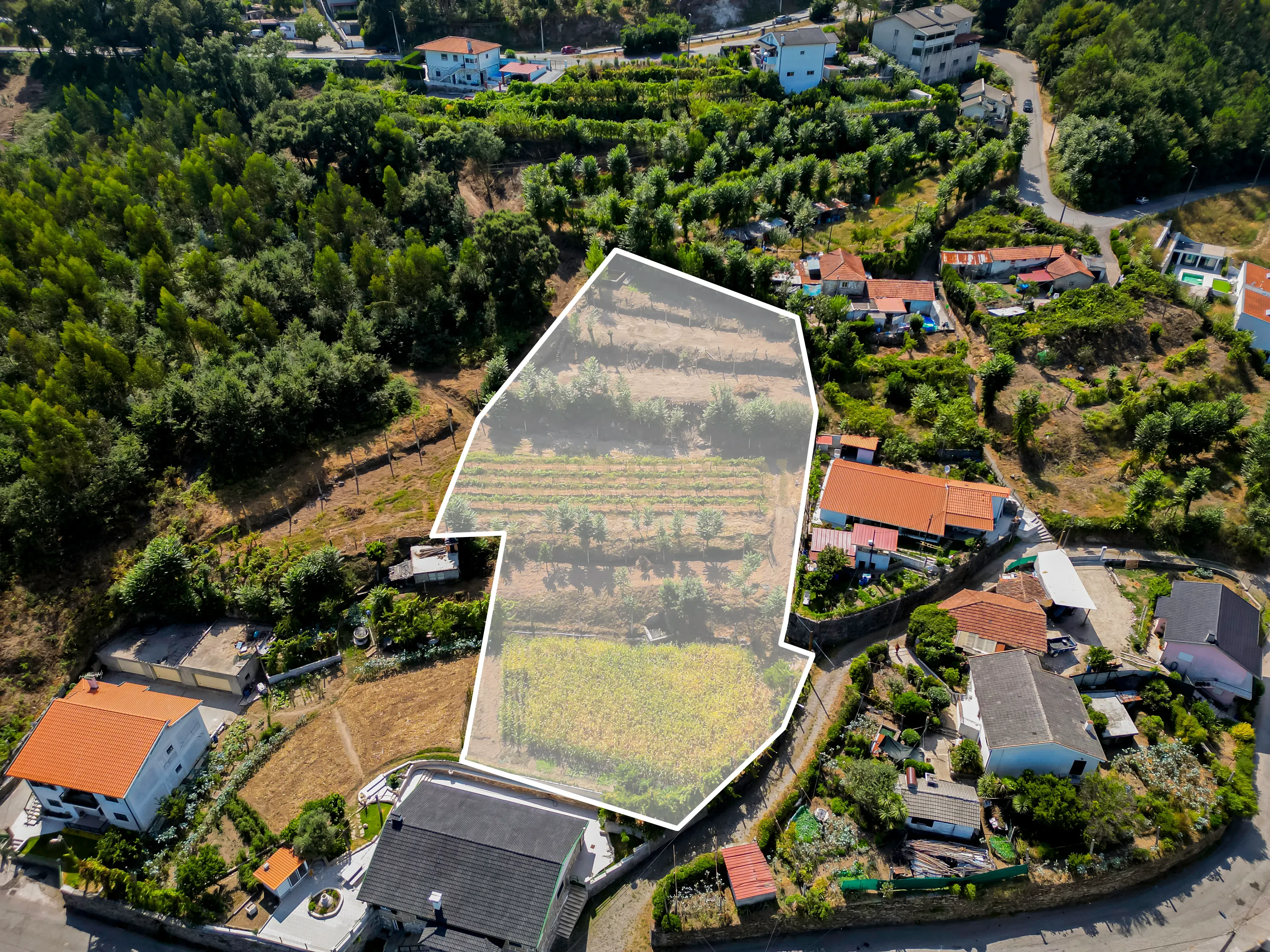 Terreno para construção em Sande São Lourenço - Image 2