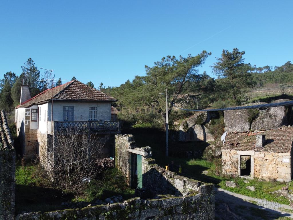 Moradia isolada em Pedra - Penalva do Castelo - Image 3