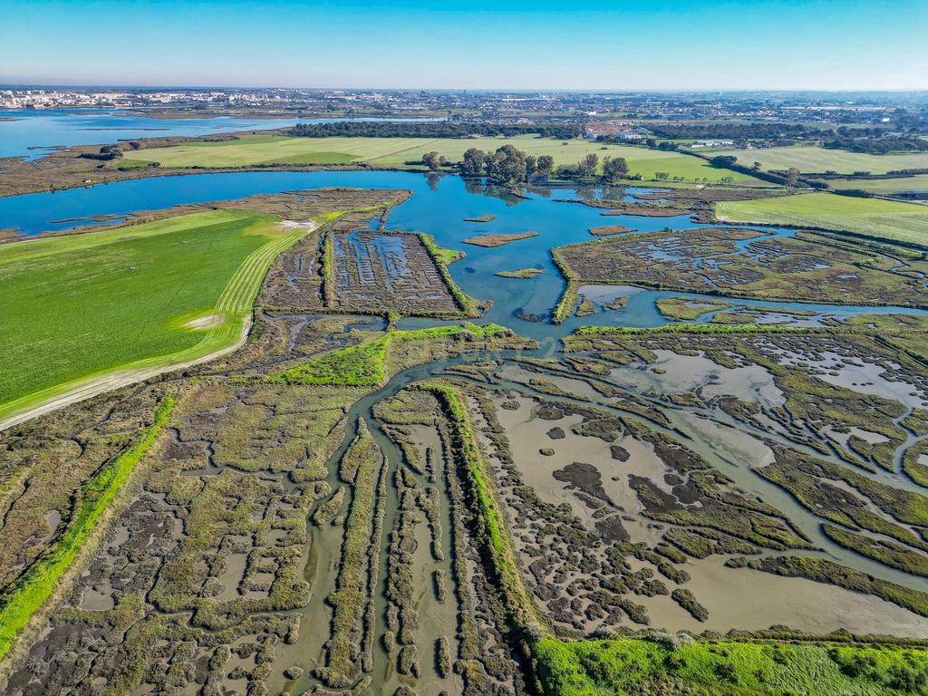 Propriedade na margem sul do Tejo, com 65ha e 796m2 dependências agrícolas - Image 15