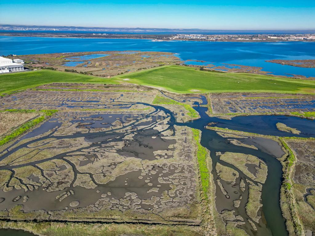 Propriedade na margem sul do Tejo, com 65ha e 796m2 dependências agrícolas - Image 32