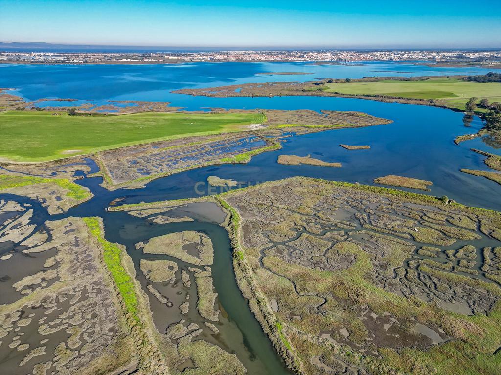 Propriedade na margem sul do Tejo, com 65ha e 796m2 dependências agrícolas - Image 28
