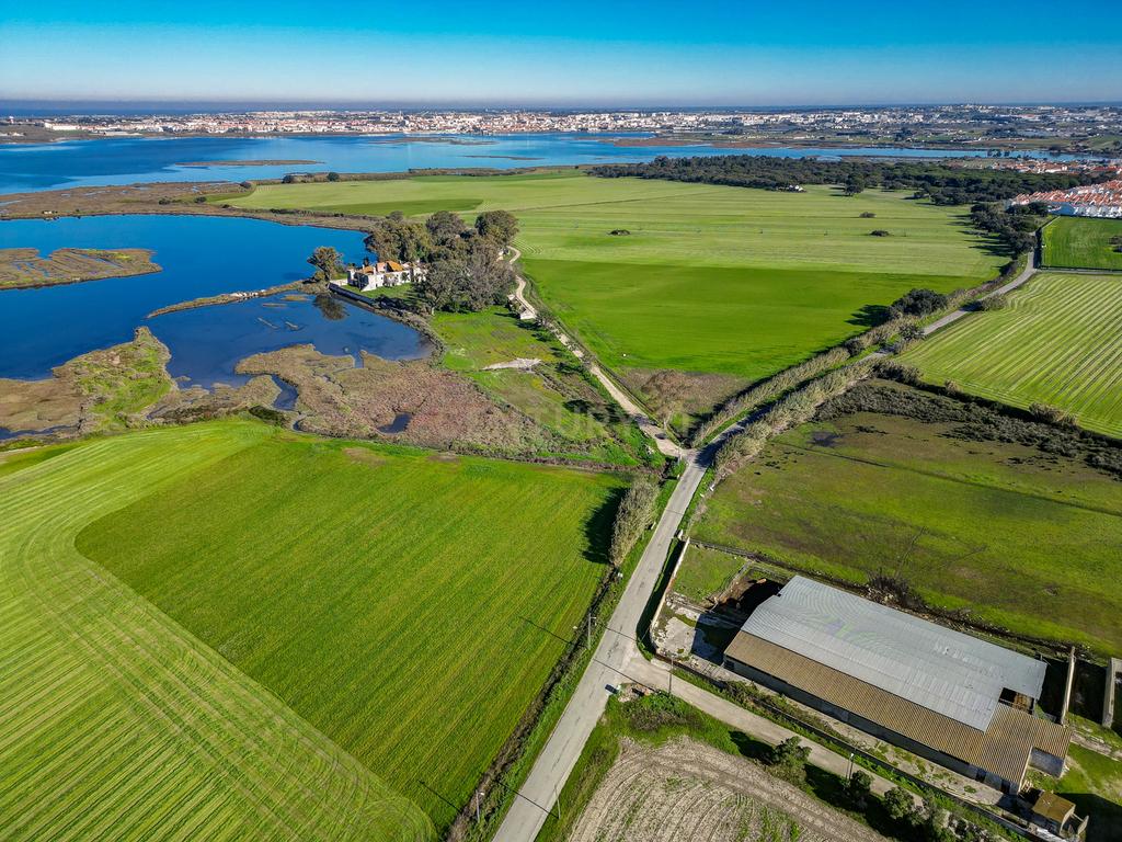Quinta na margem sul do Tejo, com 105ha, com 5.000m2 de área urbana. - Image 6