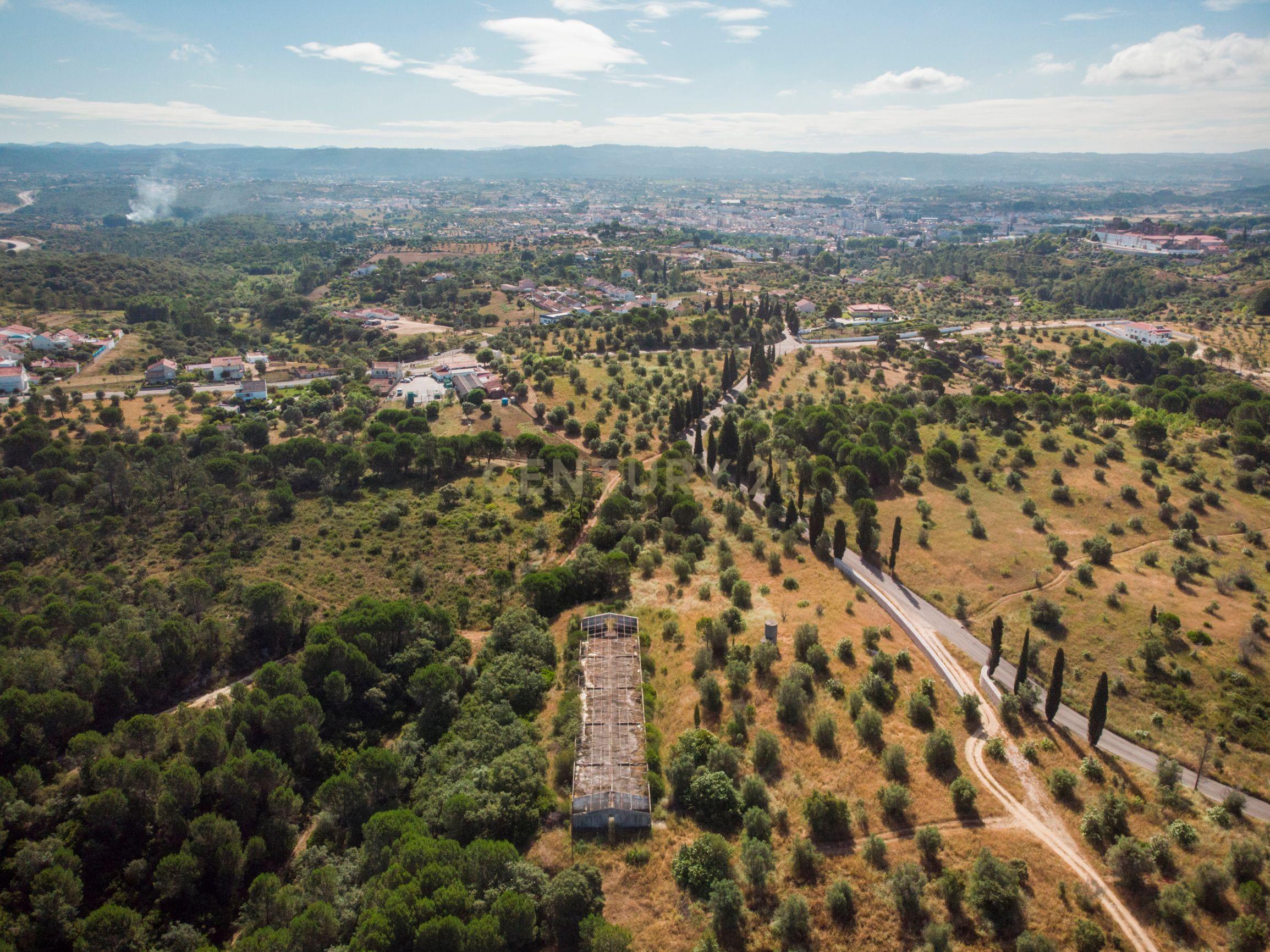 Quinta em Tomar - Image 1