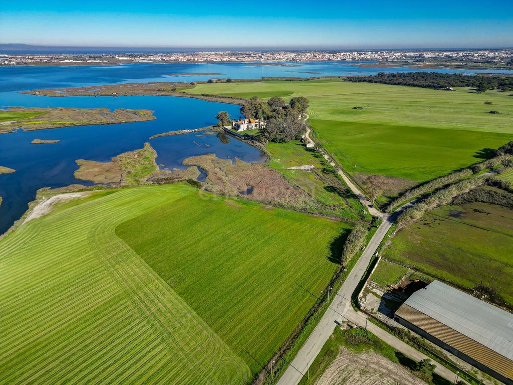 Quinta na margem sul do Tejo, com 105ha, com 5.000m2 de área urbana. - Image 10
