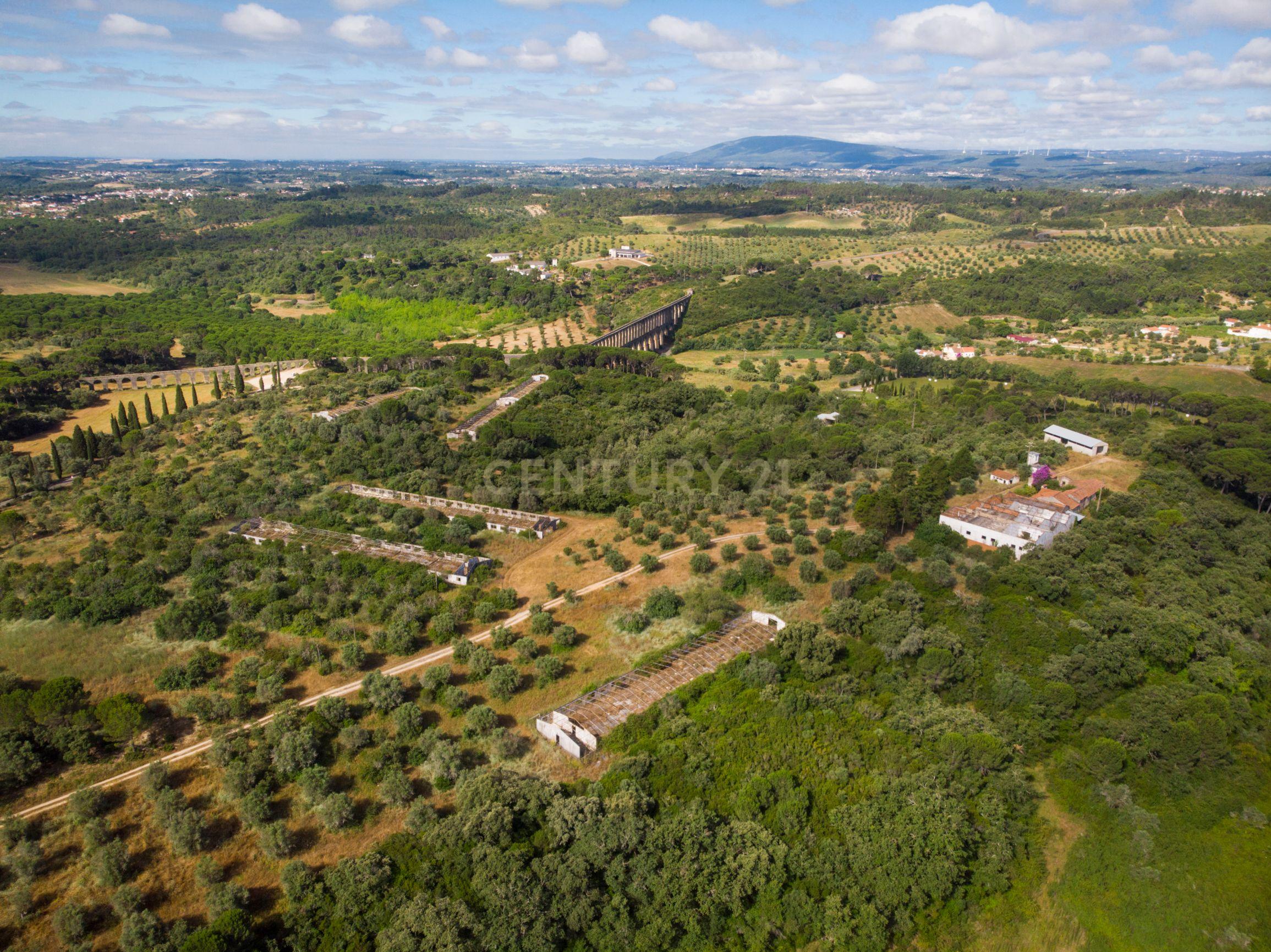 Quinta em Tomar - Image 2