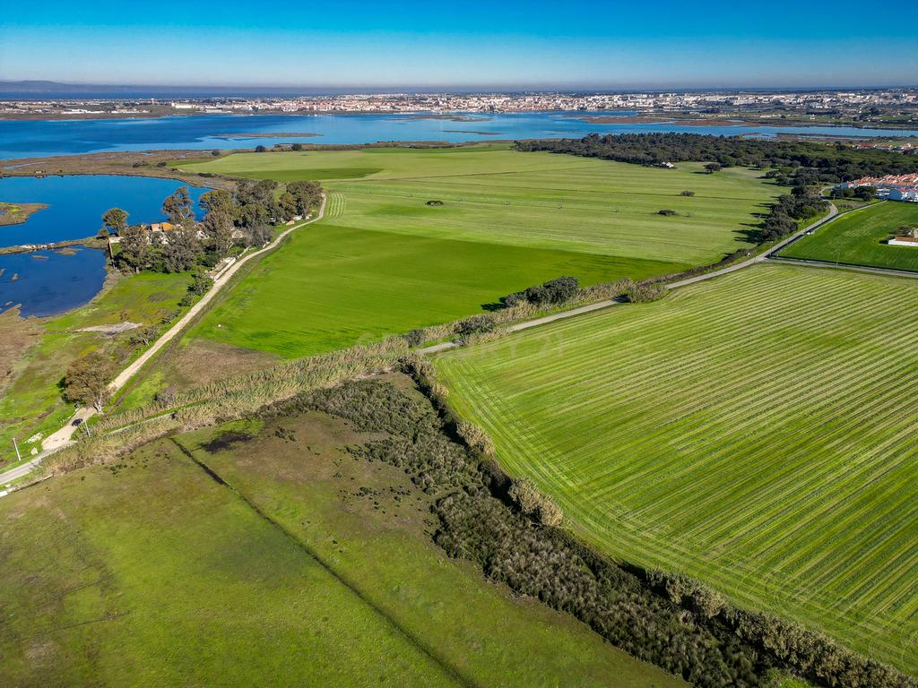 Quinta na margem sul do Tejo, com 105ha, com 5.000m2 de área urbana. - Image 30