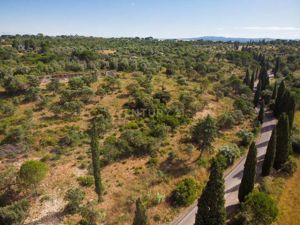 Quinta em Tomar - Image 7