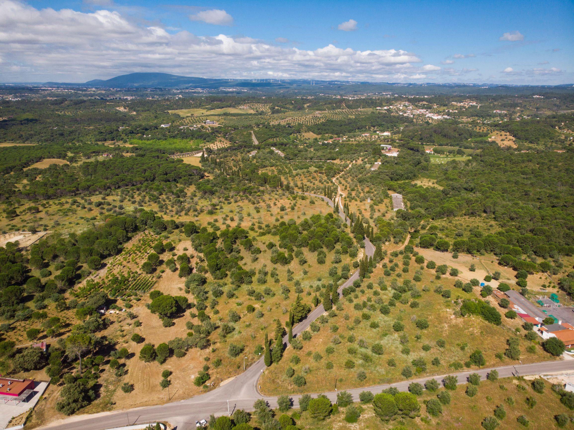 Quinta em Tomar - Image 8