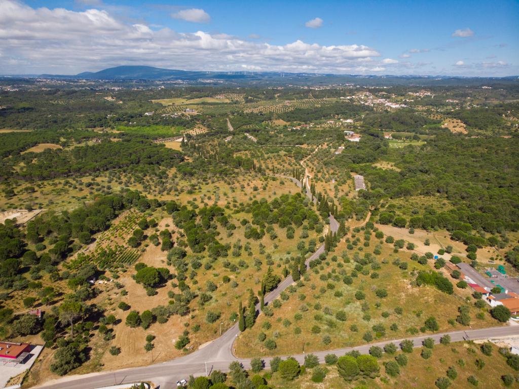 Quinta em Tomar - Image 8