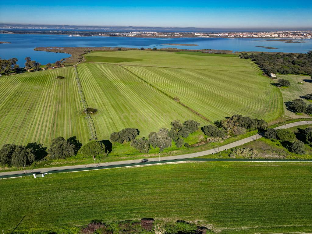 Quinta na margem sul do Tejo, com 105ha, com 5.000m2 de área urbana. - Image 11