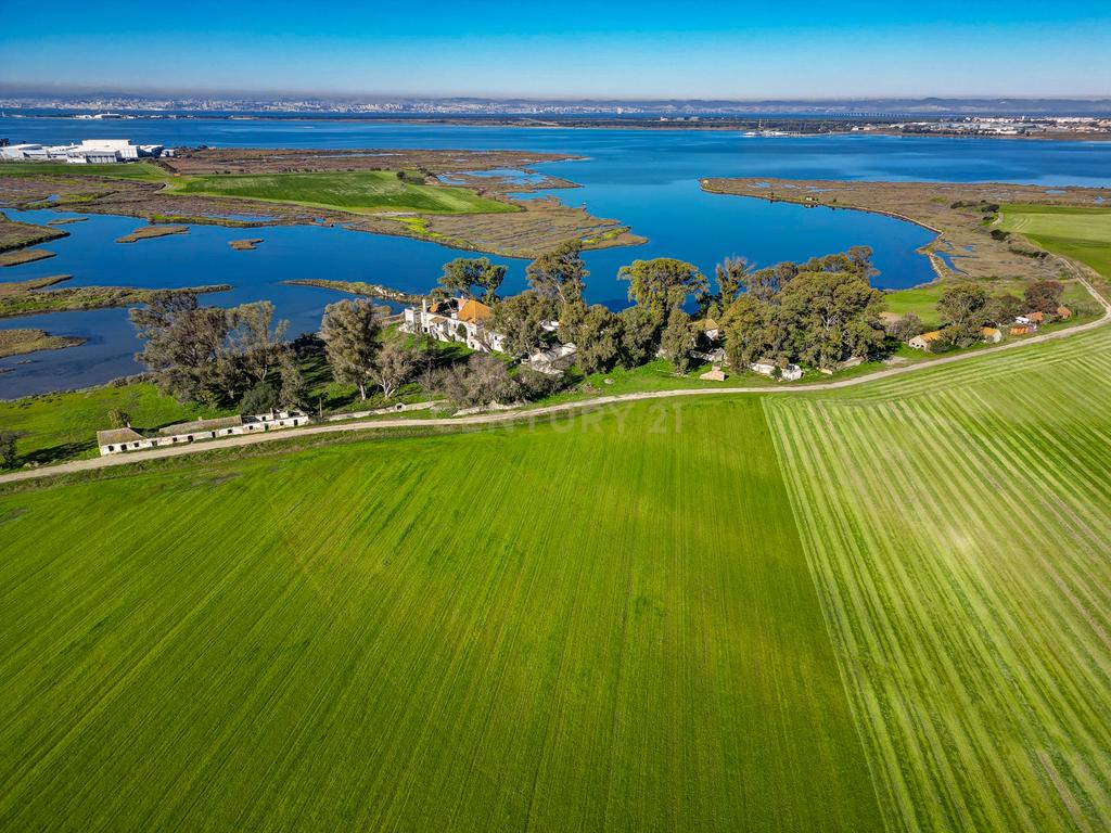 Quinta na margem sul do Tejo, com 105ha, com 5.000m2 de área urbana. - Image 12